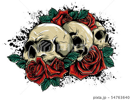 A human skulls with roses on white background 54763640