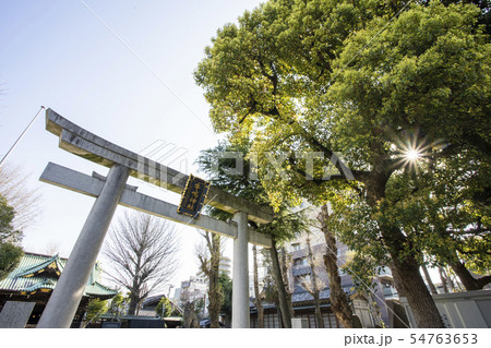 牛嶋神社 54763653