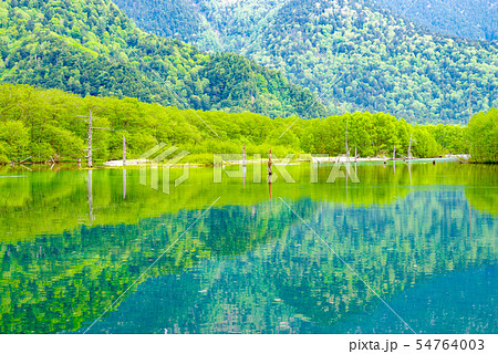 新緑の上高地・大正池からの眺め【長野県】 54764003