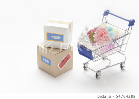 ネットショッピング 54764288