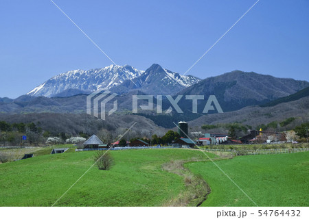 春の蒜山高原と大山 春の蒜山高原と大山 54764432