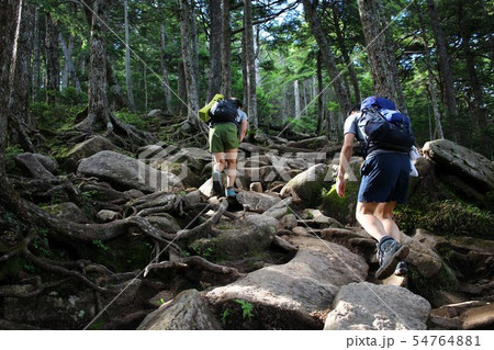 金峰山に登る登山者 54764881
