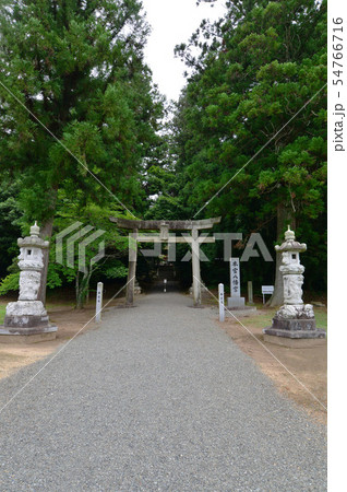 本宮八幡神社 54766716