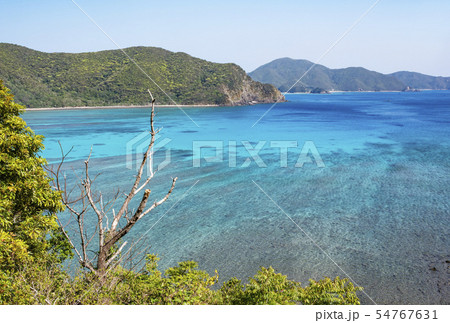 奄美大島 マネン崎からの嘉鉄湾 奄美エメラルドブルーの海 大島海峡 奄美観光スポット 奄美大島 マネン崎からの嘉鉄湾 奄美エメラルドブルーの海 大島海峡 奄美観光スポット 54767631