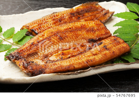 鰻の蒲焼き 54767695