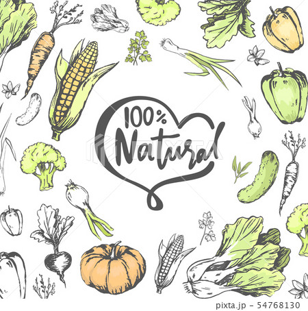 100 Percent Natural Meal, Veggies Vegetables Set 54768130
