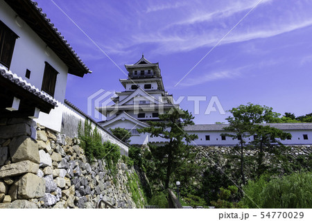 今治城　天守閣と山里櫓　水城　愛媛県今治市 54770029