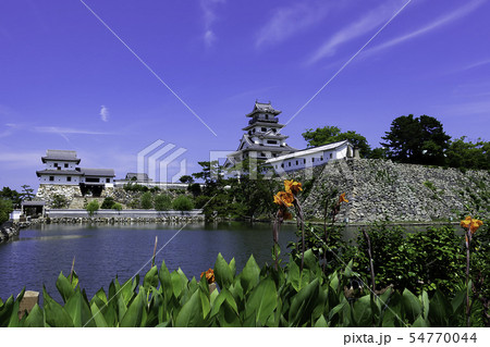 今治城　天守閣と山里櫓　水城　愛媛県今治市 54770044