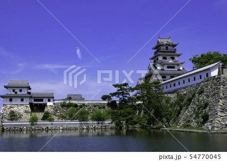 今治城　天守閣と山里櫓　水城　愛媛県今治市 54770045