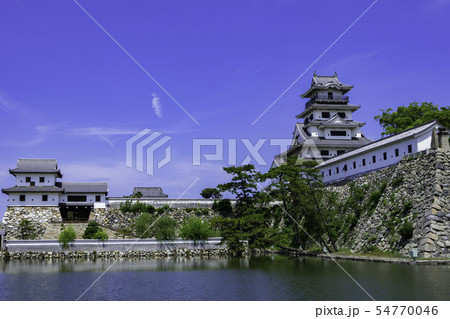 今治城　天守閣と山里櫓　水城　愛媛県今治市 54770046