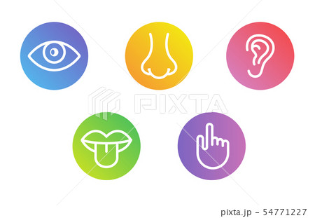Five human senses vision eye, smell nose, hearing ear, touch hand, taste mouth and tongue. Line 54771227