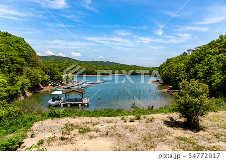 英虞湾の風景 英虞湾の風景 54772017
