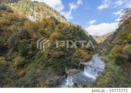 紅葉の黒部峡谷名剣温泉 紅葉の黒部峡谷名剣温泉 54773772