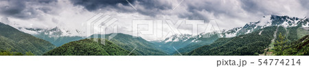 Mountain forest and clouds Mountain forest and clouds 54774214