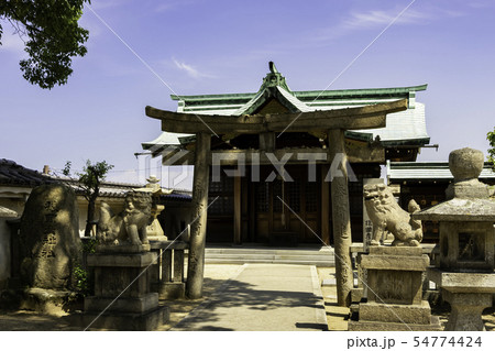 今治城 吹揚神社 住吉神社(猿田彦神社) 愛媛県今治市 今治城 吹揚神社 住吉神社(猿田彦神社) 愛媛県今治市 54774424
