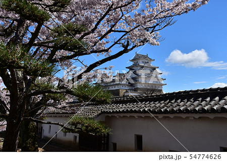 日本の兵庫県の姫路市　世界遺産の姫路城　美しい桜と青空と天守閣 54774626