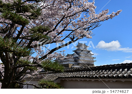 日本の兵庫県の姫路市　世界遺産の姫路城　美しい桜と青空と天守閣 54774627