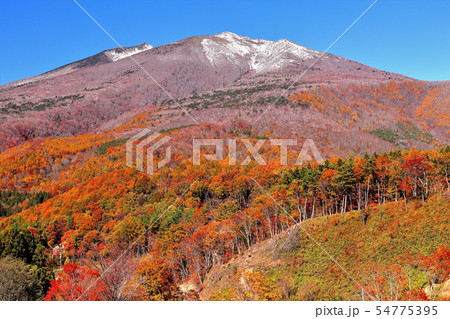 新雪の不忘山と山麓の紅葉 新雪の不忘山と山麓の紅葉 54775395
