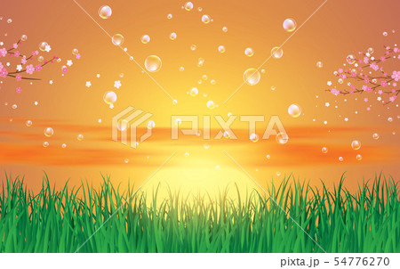 bubble on landscape of green grass in sunset bubble on landscape of green grass in sunset 54776270