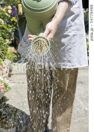 花に水をあげる女性手元 花に水をあげる女性手元 54776466