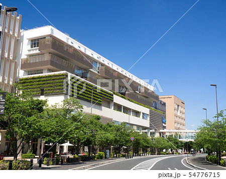 千葉県 柏の葉キャンパス駅西口付近 千葉県 柏の葉キャンパス駅西口付近 54776715