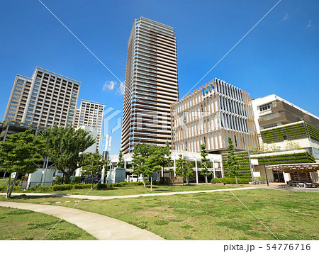 千葉県 柏の葉キャンパス駅西口付近 千葉県 柏の葉キャンパス駅西口付近 54776716