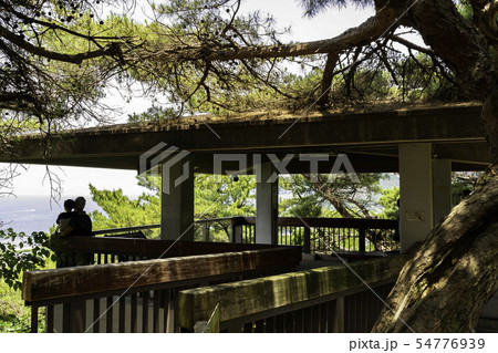 銭形砂絵　象ヶ鼻岩銭形展望台　琴弾公園　香川県観音寺市 54776939