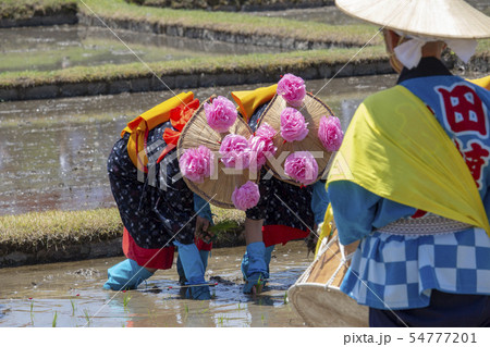 御田植え祭 御田植え祭 54777201