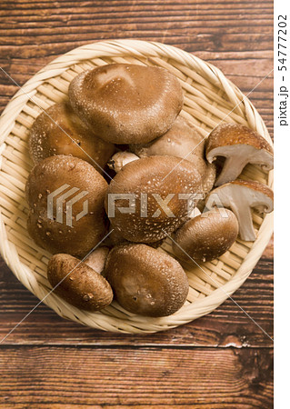 椎茸 54777202