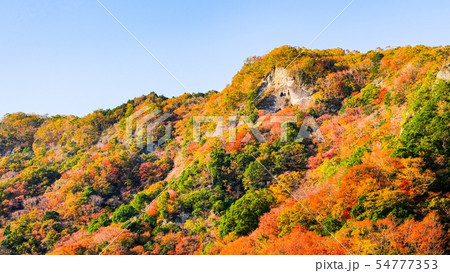 紅葉 54777353