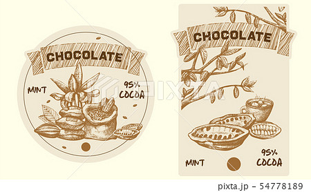 Cocoa leaves, tree and grains vector sketch illustration. Cacao hand drawn badge and banner in Cocoa leaves, tree and grains vector sketch illustration. Cacao hand drawn badge and banner in 54778189