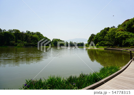 橿原神宮 深田池 橿原神宮 深田池 54778315