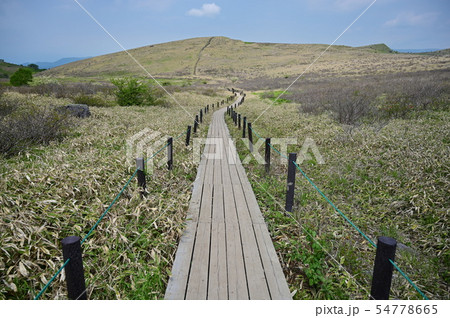 彼方へ続く道_霧ヶ峰高原 54778665