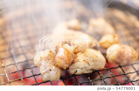 ホルモン・_バーベキュー・BBQ・bbq・炭火焼・網焼・備長炭・七輪・キャンプ・食事・食べ物・炭 ホルモン・_バーベキュー・BBQ・bbq・炭火焼・網焼・備長炭・七輪・キャンプ・食事・食べ物・炭 54779001