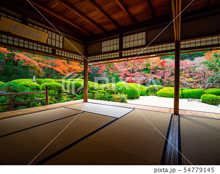 詩仙堂の紅葉 詩仙堂の紅葉 54779145