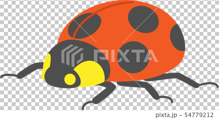 てんとう虫のイラスト素材