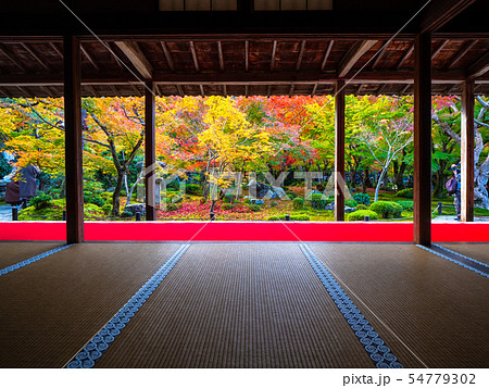 圓光寺の紅葉 圓光寺の紅葉 54779302