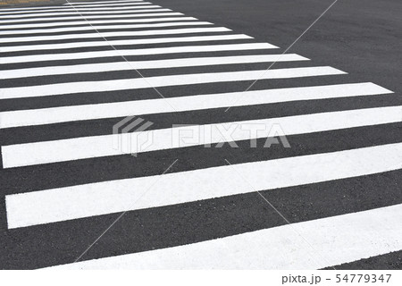 横断歩道 横断歩道 54779347