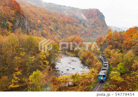 紅葉の石北本線 54779454