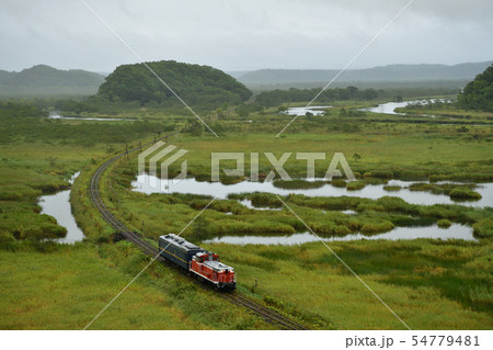 湿原を行く検測車 湿原を行く検測車 54779481