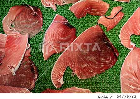 Tuna meat fillets in Tsukiji fish market, Tokyo 54779733