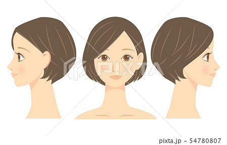 女性の顔 正面と横顔のイラスト素材