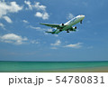 ナイヤンビーチをいくペガサス航空 54780831