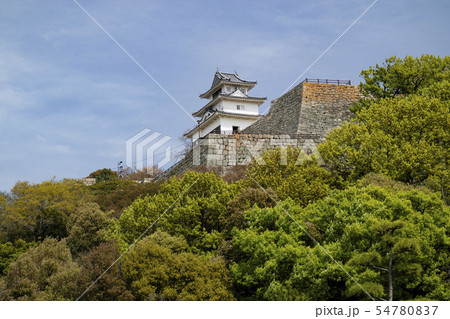 丸亀城 54780837