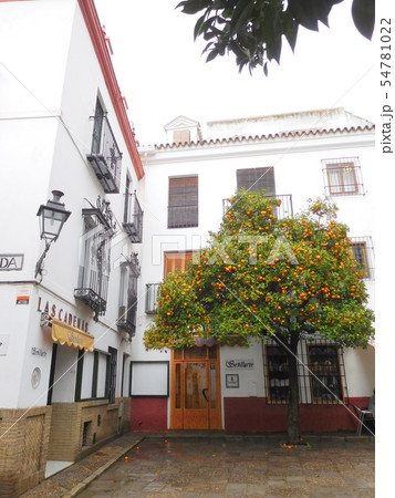 スペイン　セビリア　ユダヤ人街 54781022