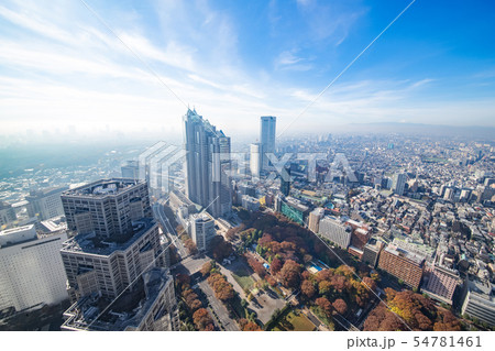 【新宿】・都内眺望・都庁展望室南より・朝靄 54781461
