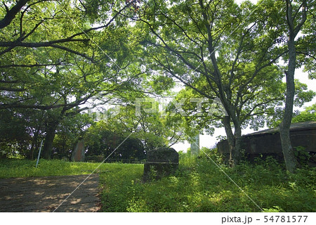 門司港レトロ・門司城跡（福岡県北九州市門司区） 54781577