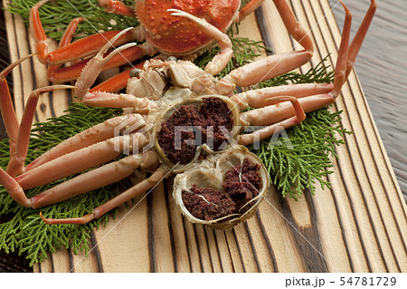 セコガニ 54781729