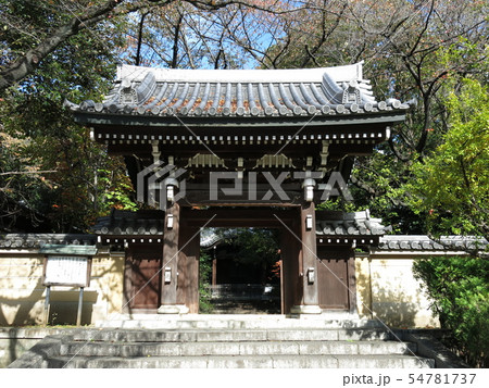 豊島区の法明寺（山門） 54781737