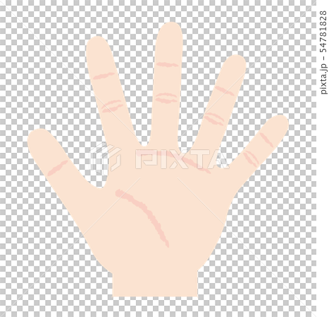 手 手のひら イラスト 手 手のひら イラスト 54781828